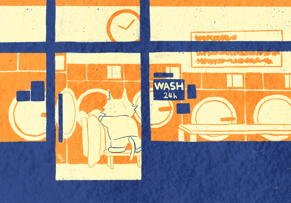 コインランドリーのねこ